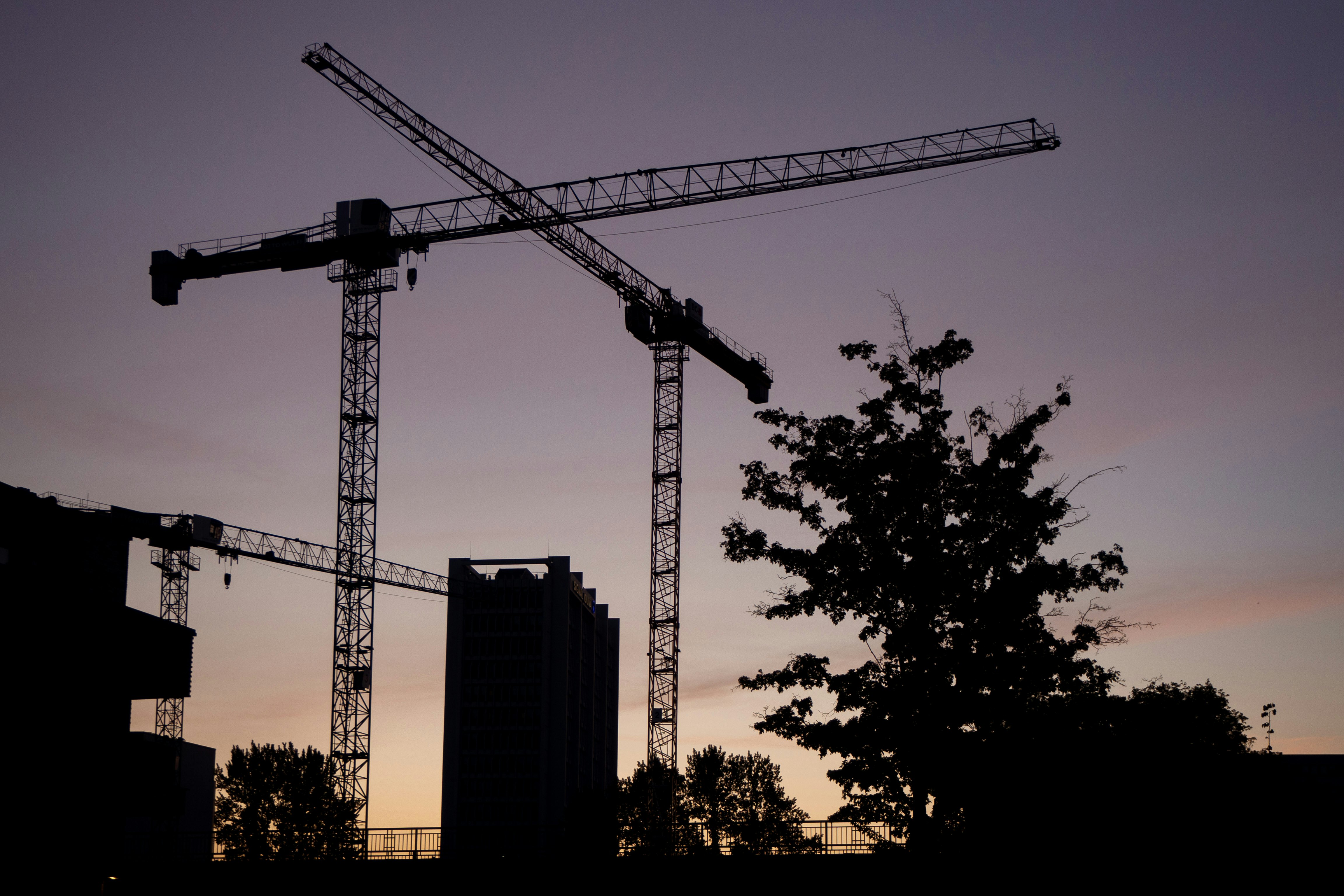 silhouette of trees and tower crane during daytime